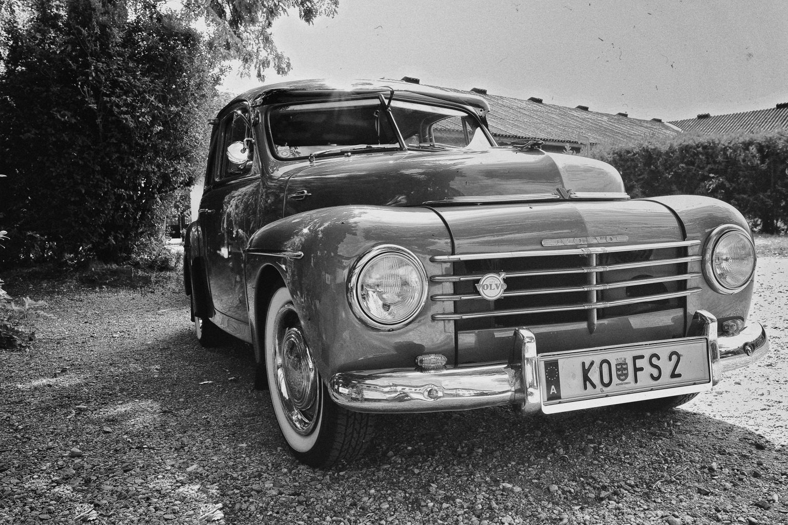 Gustaf Seitenansicht schwarz-weiß