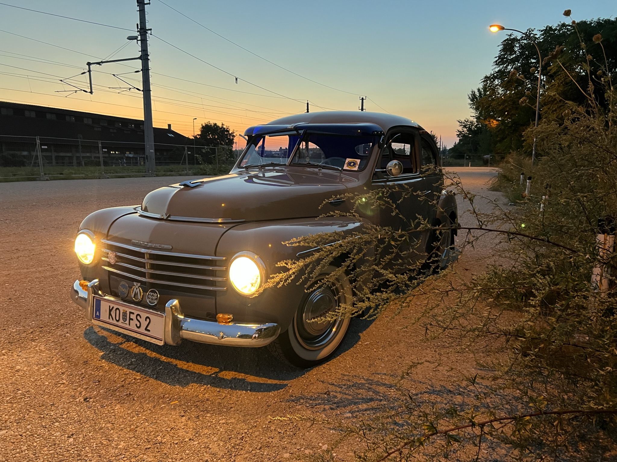 Gustaf bei Sonnenuntergang